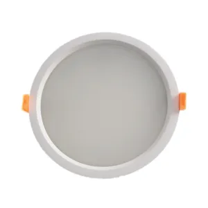 LED Down Light